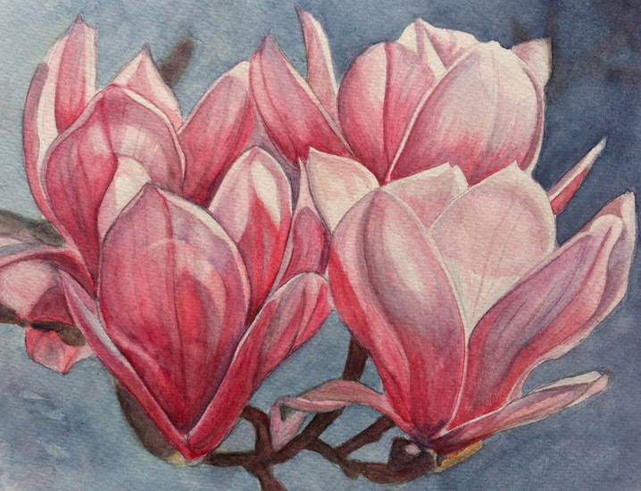 Magnolia