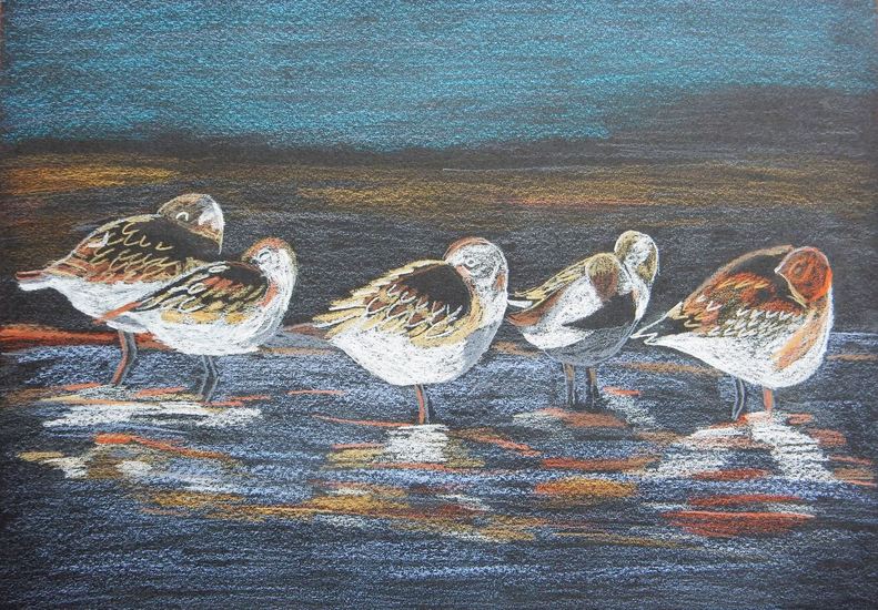 Kanoeten bij de Waddenzee