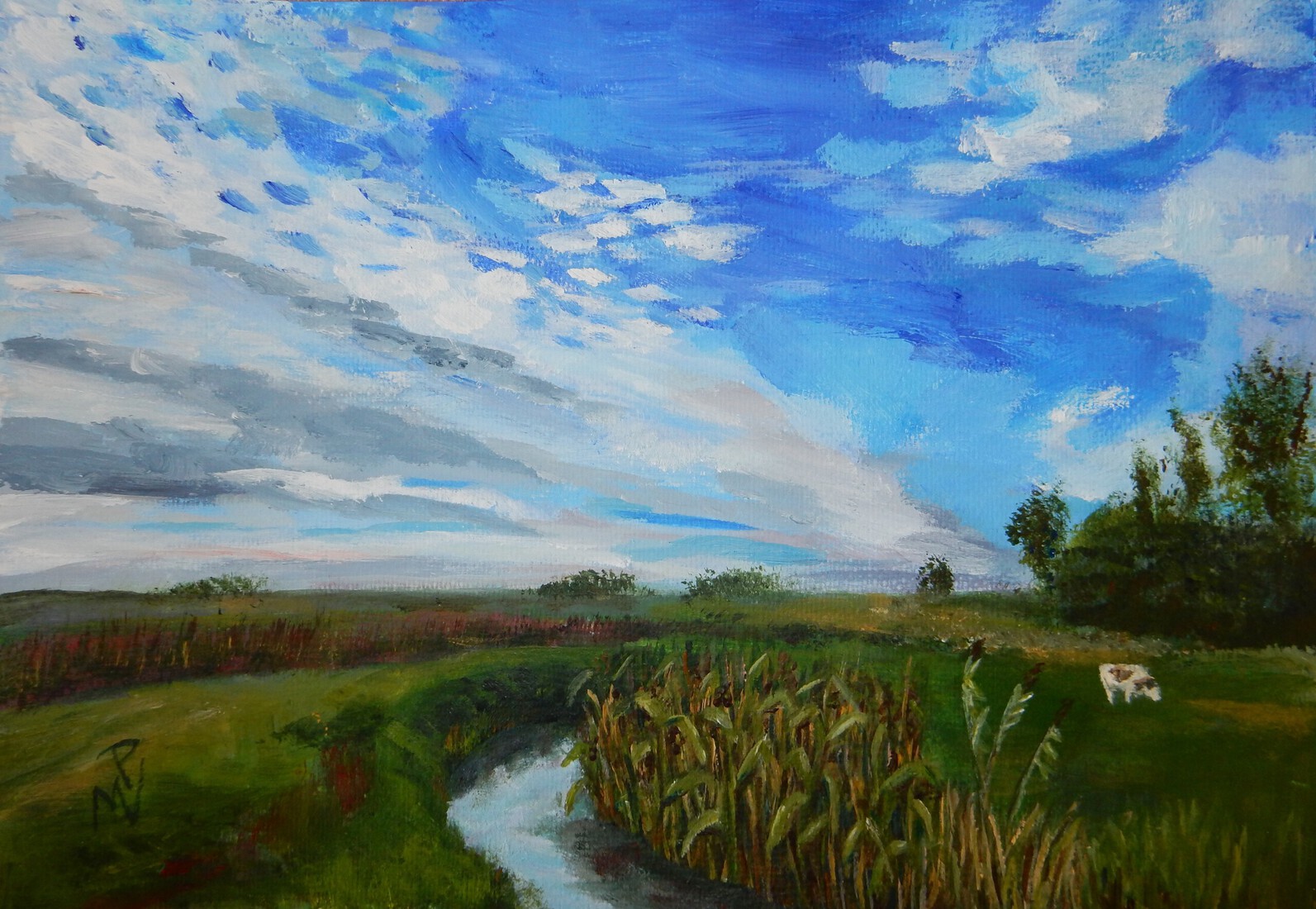 Vreugderijkerwaard Zwolle