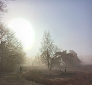 Foto's van bijzonder licht in de natuur