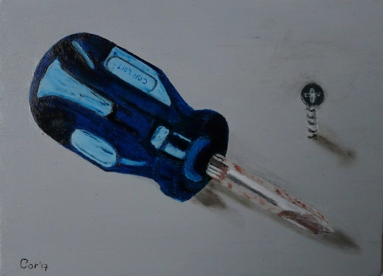 Kruiskopschroevendraaier met schroef