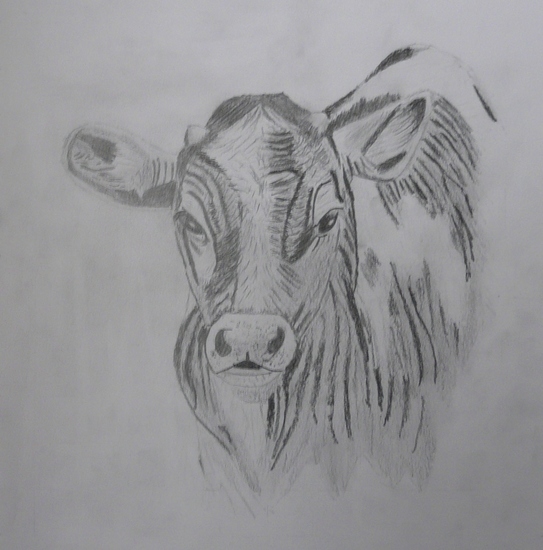 Jong geleerd, oud gedaan