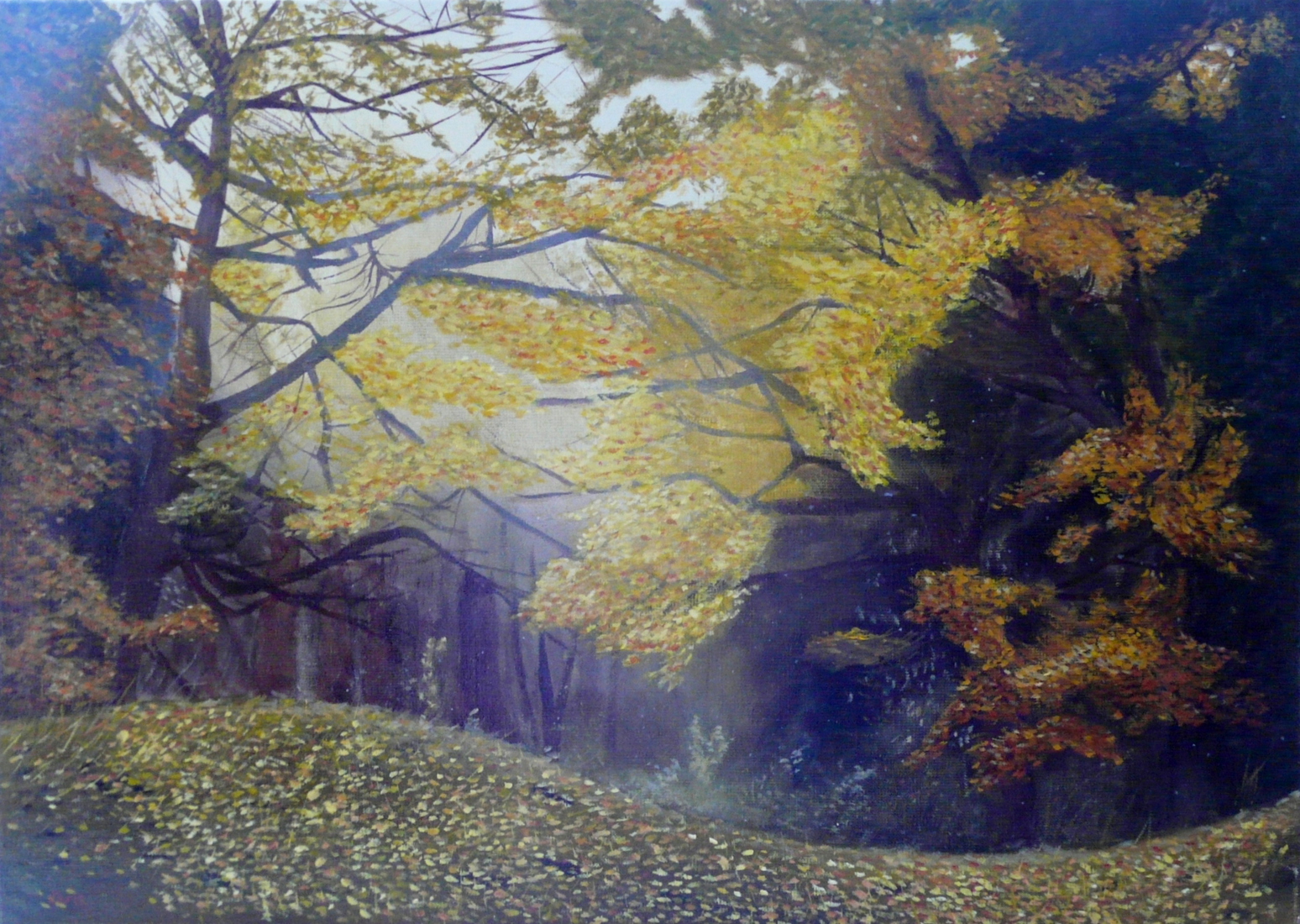 Qua kleur het mooiste jaargetijde 