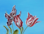Tulpen