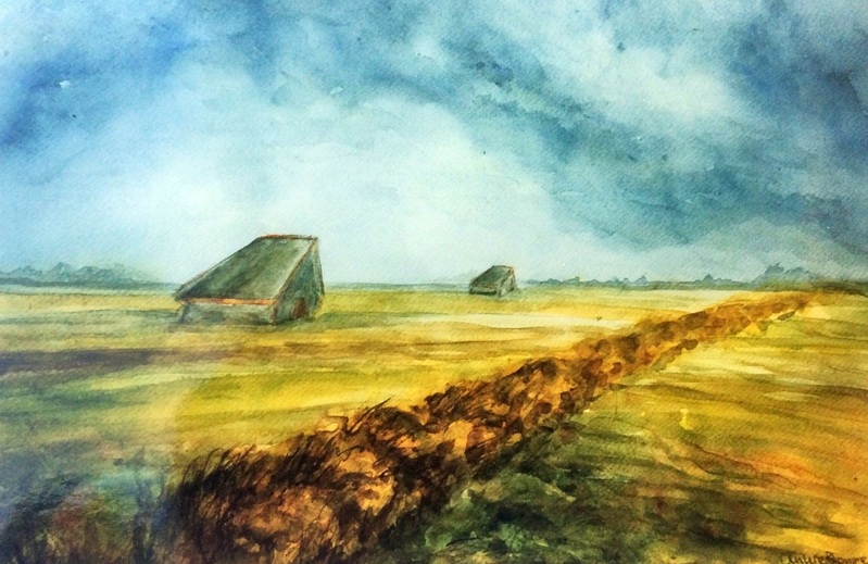 Schapenboet op Texel 2