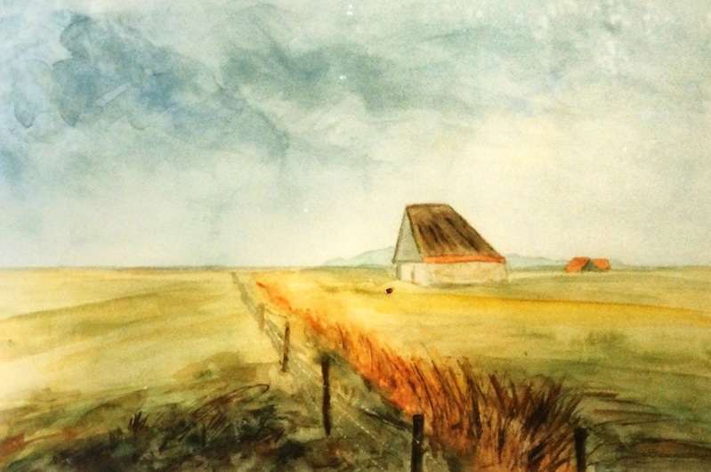 Schapenboet op Texel 5