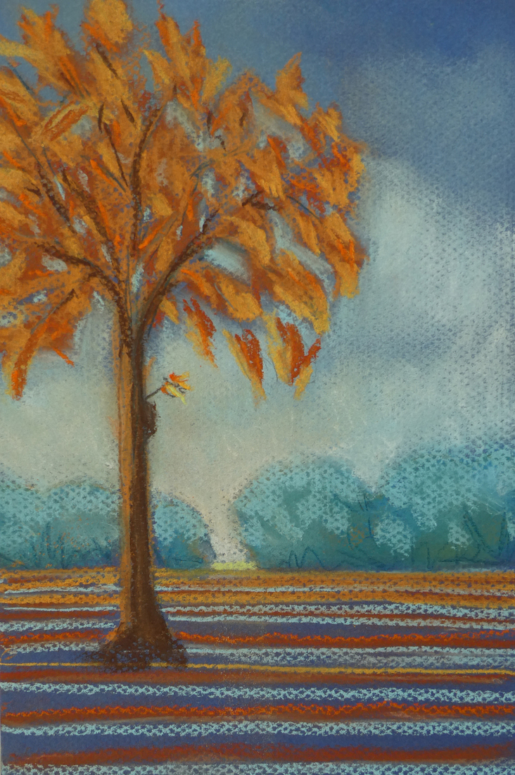 Oranje boom