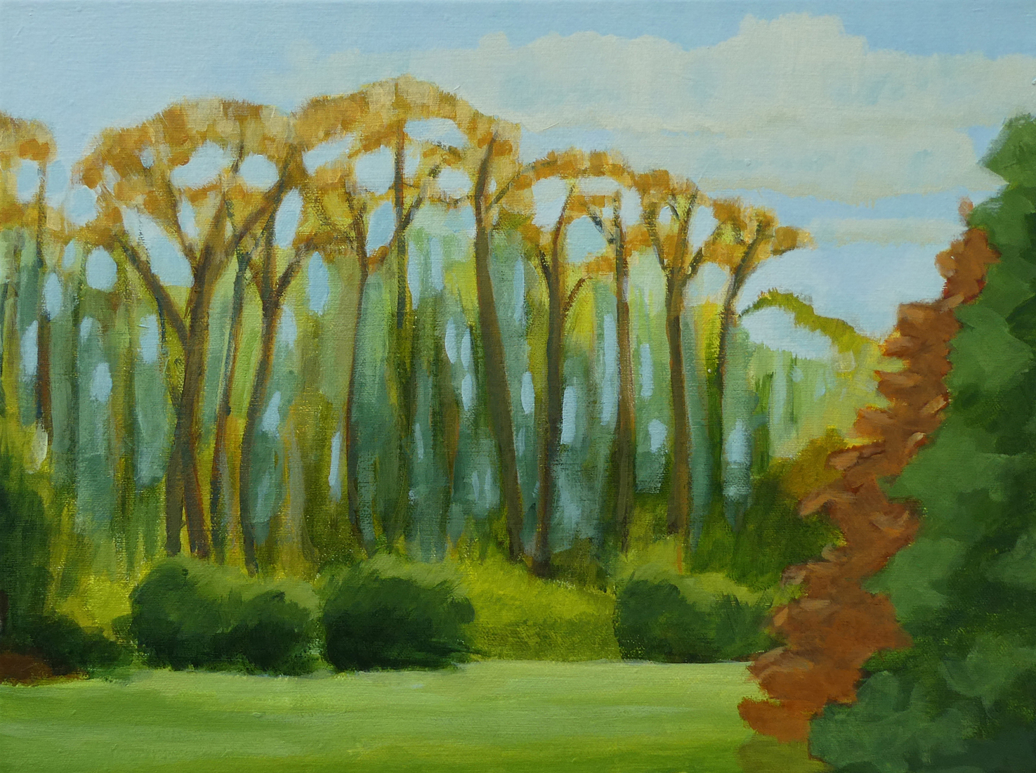 De bomen lopen uit