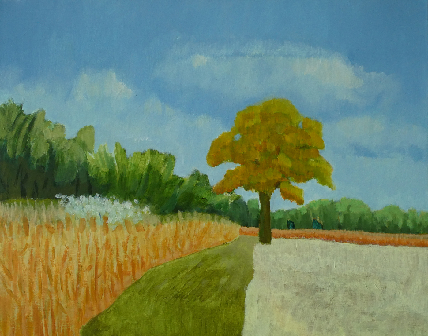 Colored fields