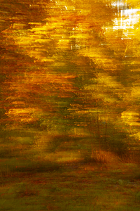 Dromerige foto's door het gebruik van meervoudige belichting en ICM (Intentional Camera Movement) in de natuur tijdens de herfstperiode.