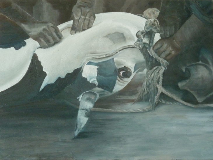 Geslacht 02