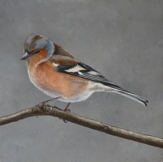 vink