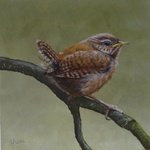 verschillende dieren en vogels