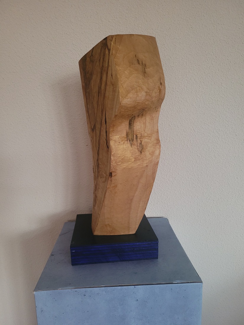 Torso 2024