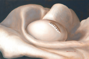 Fantasie en realistische eieren