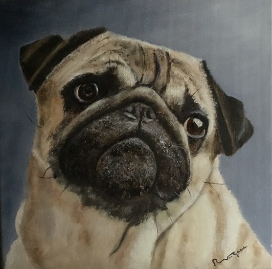 Krijg ik een koekje?