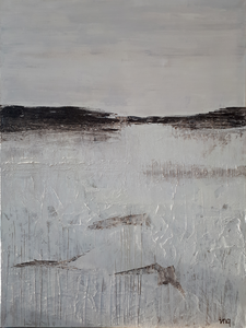 Winterse sferen en waterpartijen