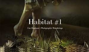 Een fotografisch essay gewijd aan het delicate evenwicht tussen de mens en zijn natuurlijke omgeving.

We leven op deze planeet, maar we weten niet echt hóe we dat moeten doen.
Er is ook geen eenduidig antwoord. Als kunstenaar/fotograaf wil ik op een kunstzinnige manier onze menselijke verlangens en dilemma’s zichtbaar maken en aanzetten tot nadenken over onze rol in het complexe ecosysteem waarvan we afhankelijk zijn.

Meer werk casslagboom.nl/habitat 