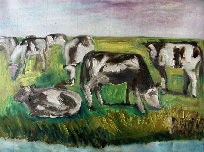 Koeien aan het water