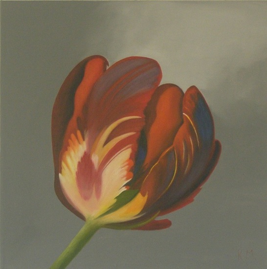 tulp met grijze achtergrond
