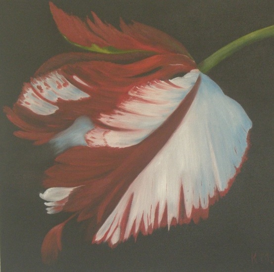 tulp diep rood met blauw