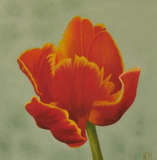 tulp met rood en geel
