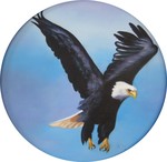 Schilderijen van verschillende vogel