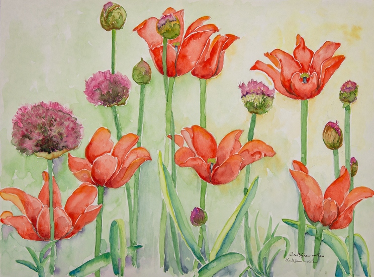 Combinatie Allium en Tulpen