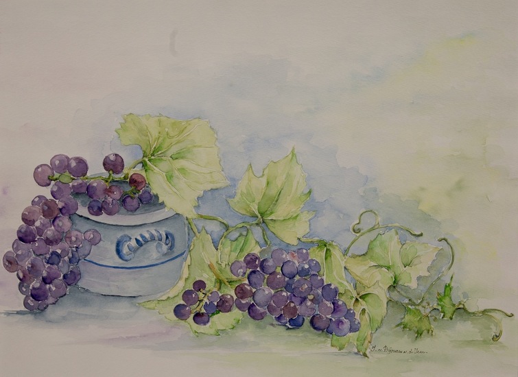 Druiven van eigen oogst