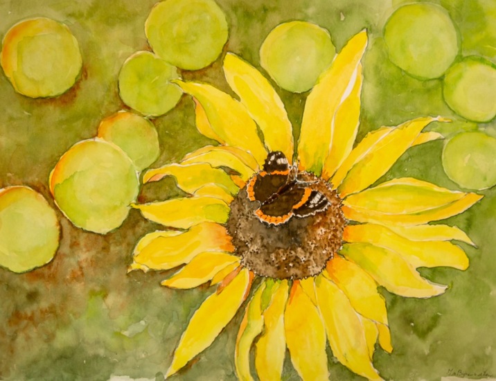 Atalanta vlinder op zonnebloem