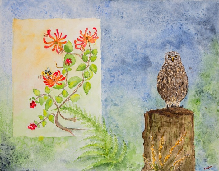 Steenuiltje op wacht