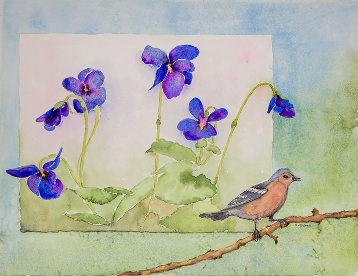 Vink met bosviooltjes