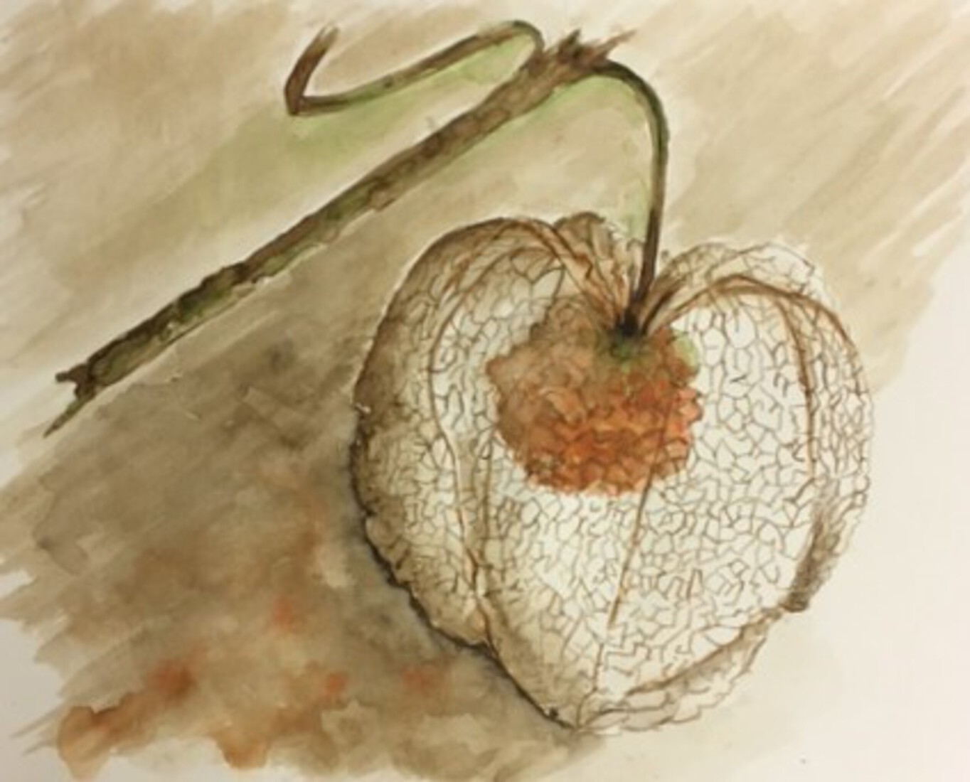 droog maar met toekomst!