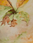 Herfst in aquarel
