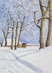 Winter in aquarel