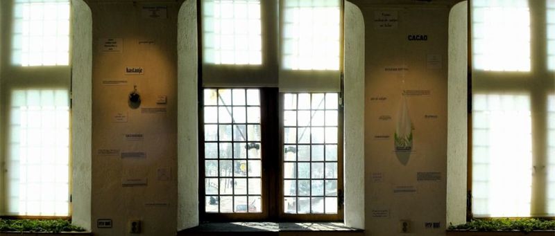 De Geurherinneringen #2