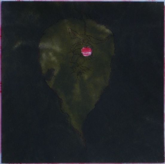 Z.T. (Leycesteria formosa)