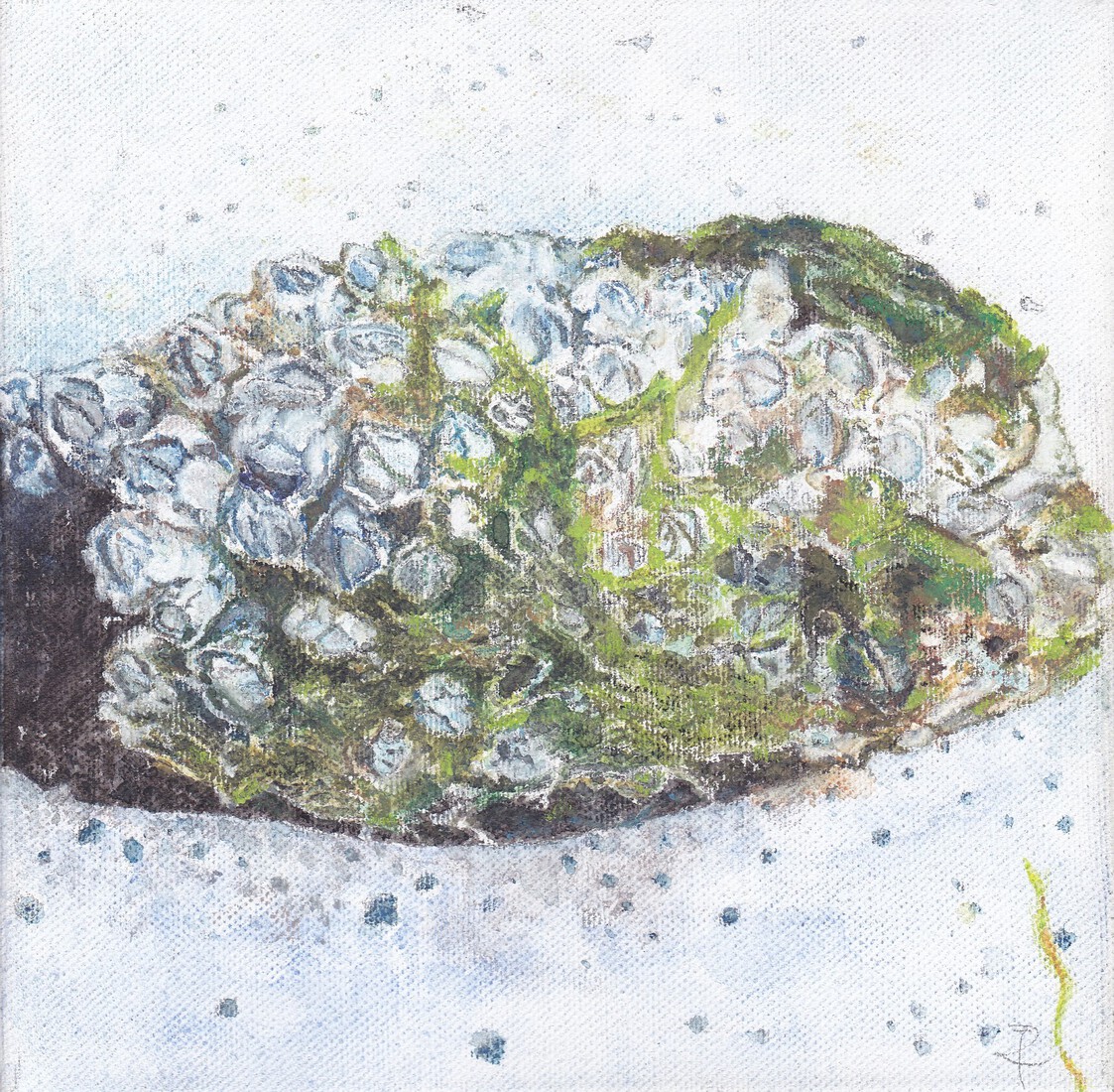 Gefundenes Fressen I