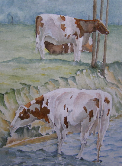 Koeien in de Geul