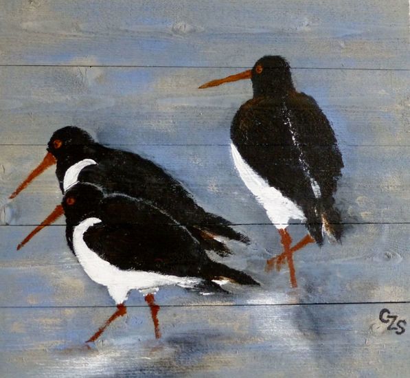 Scholeksters op hout