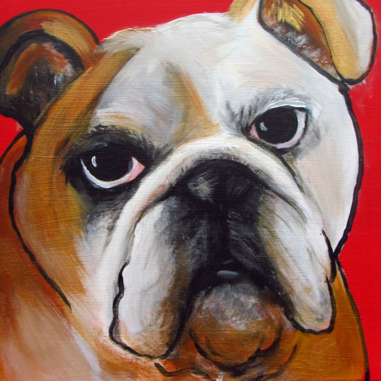 engelse bulldog