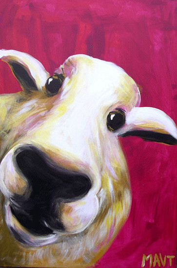 schaap