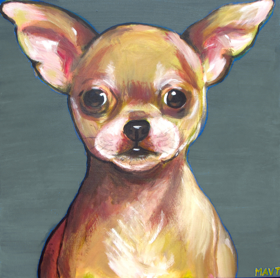 Chiahuahua