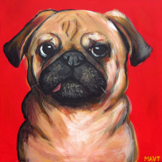 Mops hond