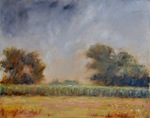 landschapschilderingen en -tekeningen van het Hollands landschap' www.janbaggen.nl