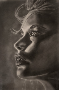 Portretten van mensen en dieren