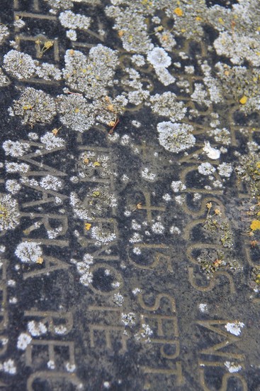Korstmos grafsteen