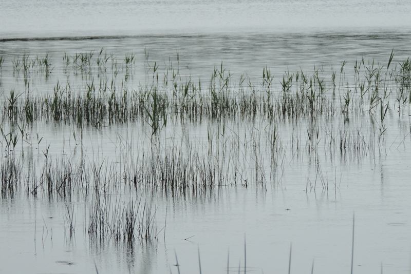 speel van wind water en regen