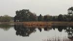 panorama's van het landschap van bossen en heide gebied
