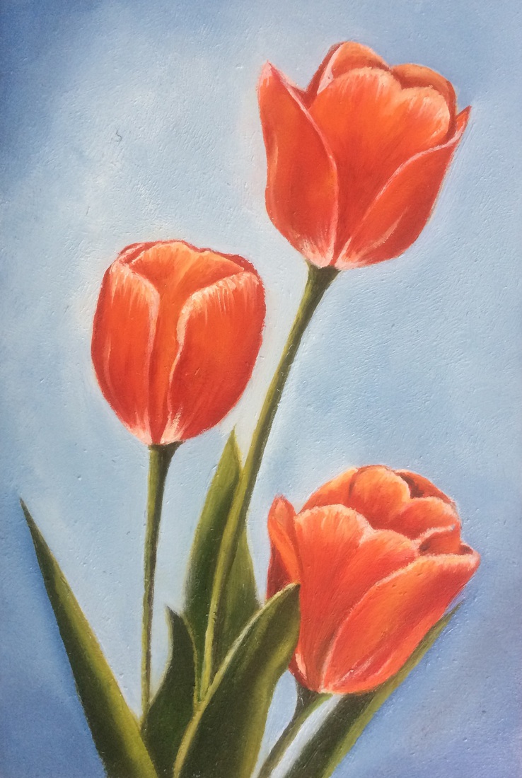 tulpen